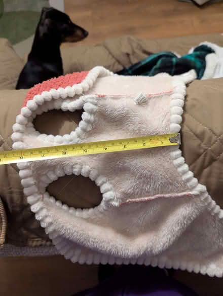 Photo of free Variety of (very) small dog coats (Magham Down BN27) #4