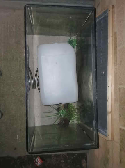 Photo of free Fishtank (Hanworth RG12) #3