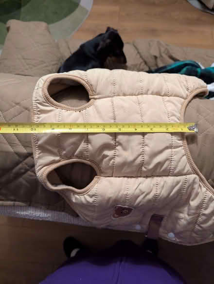 Photo of free Variety of (very) small dog coats (Magham Down BN27) #1