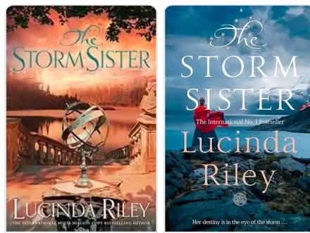 Photo of Book The Storm Sister (Stubbington) #1