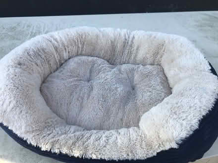 Photo of free Cat bed (Shipley, BD18) #1
