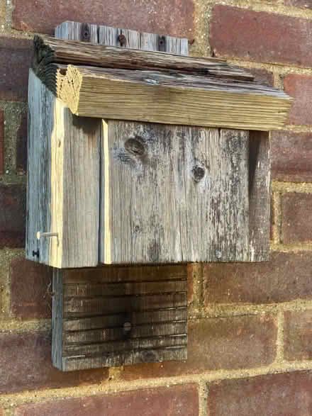Photo of free Bat box (Old Town SG1) #1