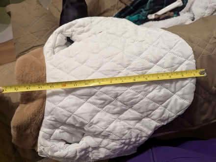 Photo of free Variety of (very) small dog coats (Magham Down BN27) #3