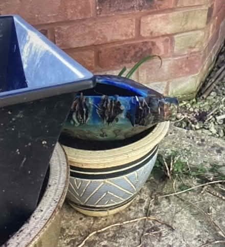 Photo of free Various garden pots/parasol stand (Cheltenham) #1