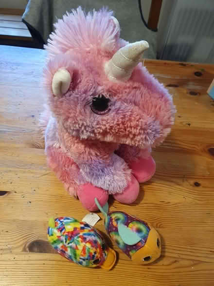 Photo of free Soft toys (LL57 Rhiwlas) #1