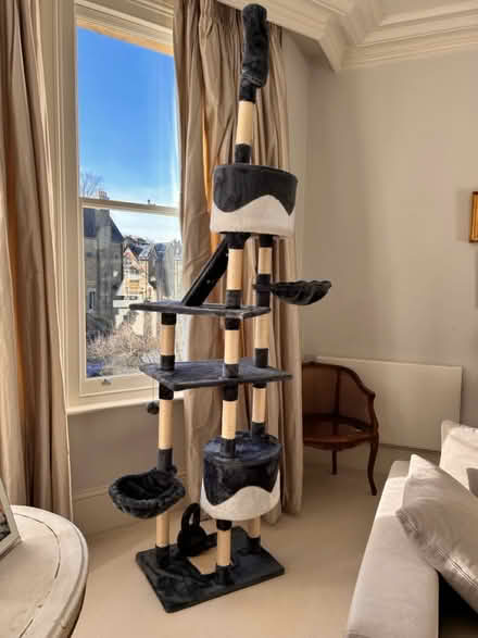 Photo of free Cat tree (adjustable ceiling brace) (OX2 Norham Manor) #2