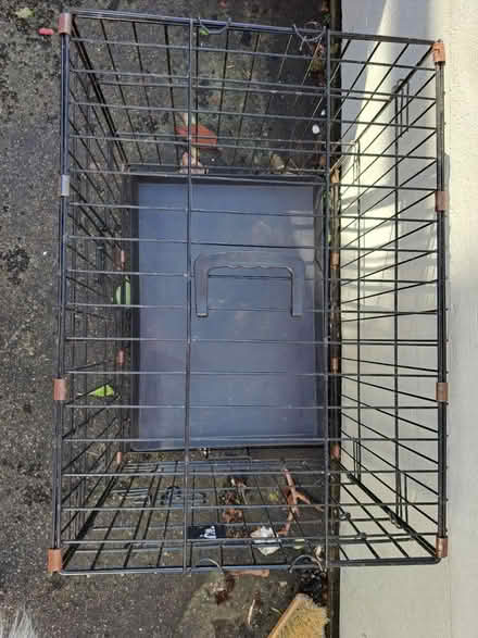 Photo of free Dog crate (Critchill, Frome) #2