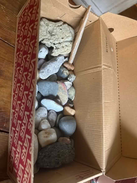 Photo of free Box of rocks (La grange il) #1