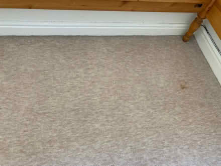 Photo of free Carpet (Wheatley OX33) #2
