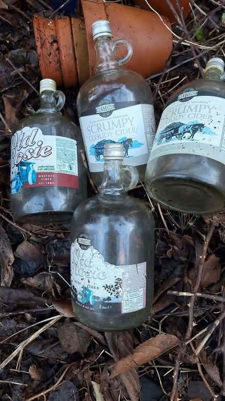 Photo of free 4 x 2 litre cider flagons with screw caps (Kempston MK42) #1