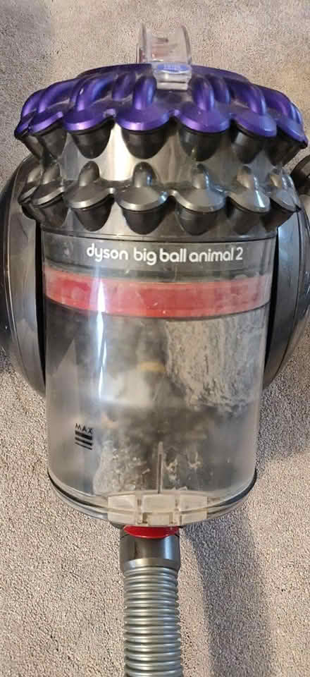 Photo of free Dyson vacuum big ball animal 2 (Chorlton M21) #1