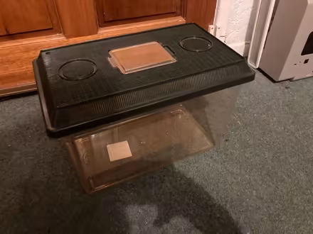 Photo of free Small reptile tank/vivarium (The Inch EH16) #1