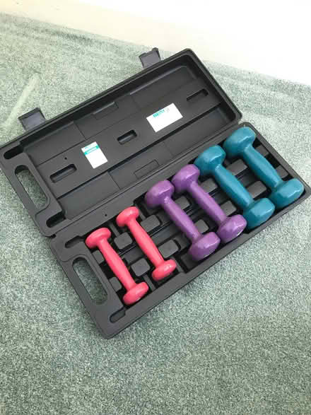 Photo of free Small Dumbbells (set) (Gressingham LA2) #1