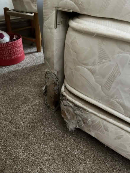 Photo of free 2in1 bed and bedside tables (Wiveliscombe) #4