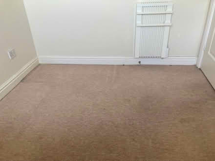 Photo of free Carpet (Wheatley OX33) #1