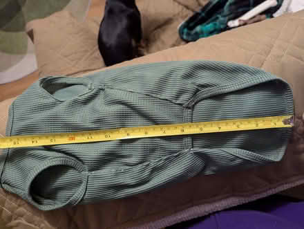 Photo of free Variety of (very) small dog coats (Magham Down BN27) #2