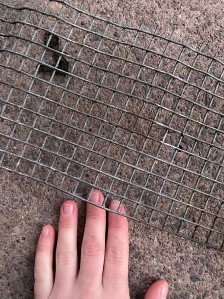 Photo of Wire mesh (Barnards green WR14) #1