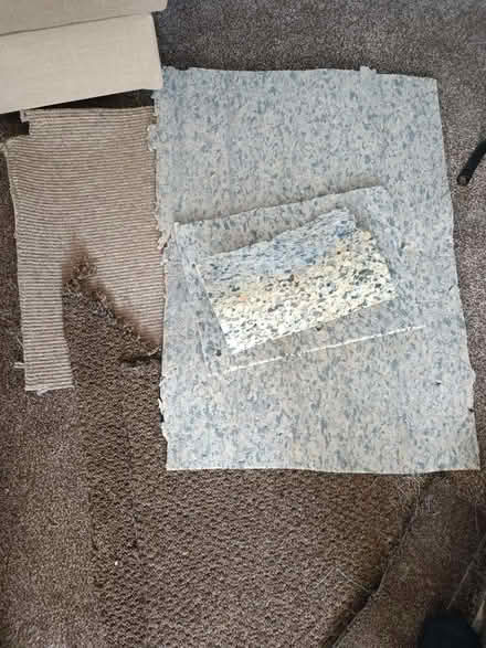 Photo of free Carpet & underlay off-cuts (HX3) #2