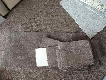 Photo of free Carpet & underlay off-cuts (HX3) #1