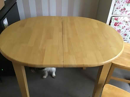Photo of free Dining table + 4 Chairs (Tresaddern Farm TR9) #3