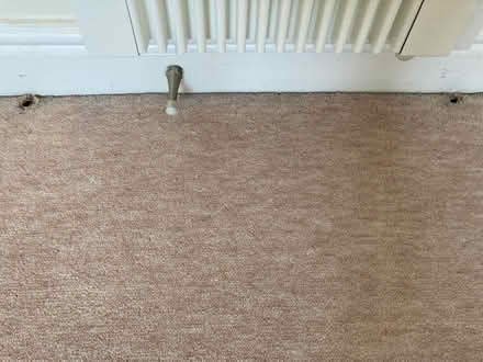 Photo of free Carpet (Wheatley OX33) #3