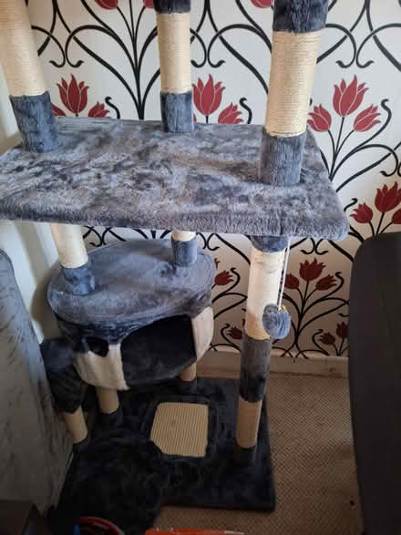Photo of free Cat activity tower (Allesley Park CV5) #2