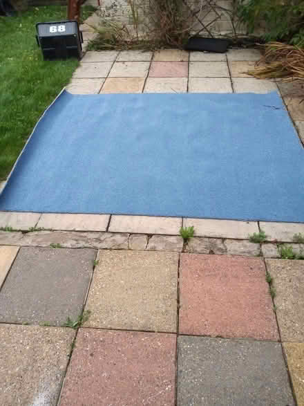 Photo of free Light blue carpet (Enfield EN2) #1