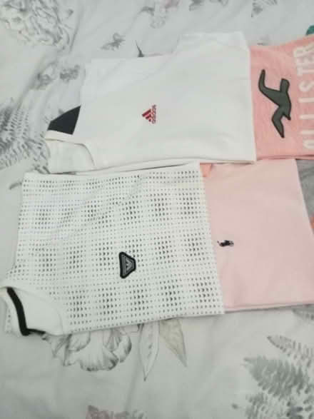 Photo of free Mens T Shirts (Old Town TN40) #2