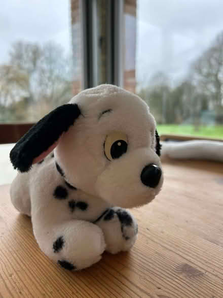 Photo of free Cuddly Dalmatian Puppy Toy (Penn HP10) #2