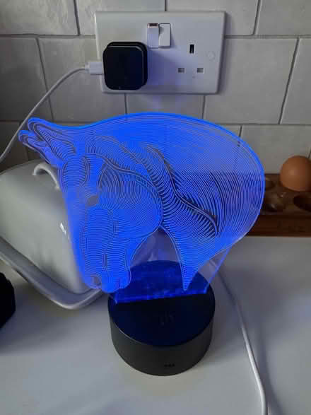 Photo of free Colour-changing horse light (Meldreth) #1