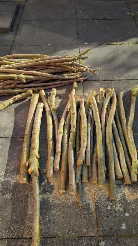 Photo of free Two piles of tree cuttings (Elvaston Meadows DE72) #2