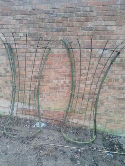 Photo of free Tree Support/Cages for Wall (Churcham GL2) #1