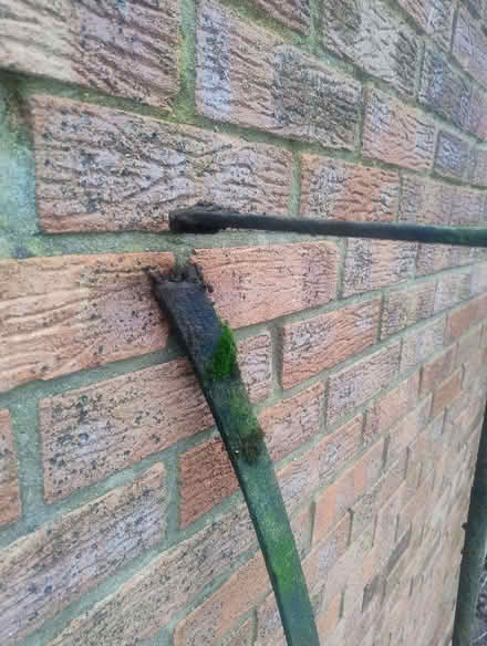 Photo of free Tree Support/Cages for Wall (Churcham GL2) #2