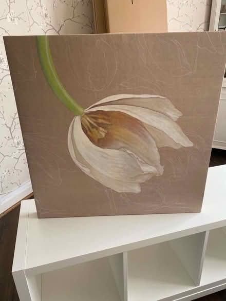 Photo of free Canvas wall art (Langley SL2) #1