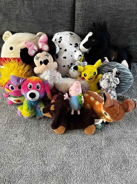 Photo of free Girls Cuddly Toys (Christchurch BH23) #1