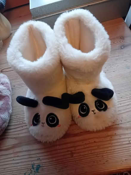 Photo of free Someone requested these (Buriton GU31) #1