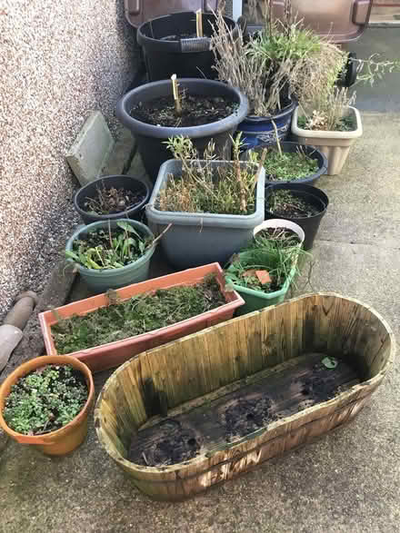 Photo of free Garden pots (Chaddesden Derby) #1