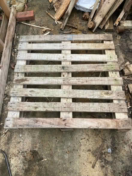 Photo of free 2 pallets - large and small (SM5) #2