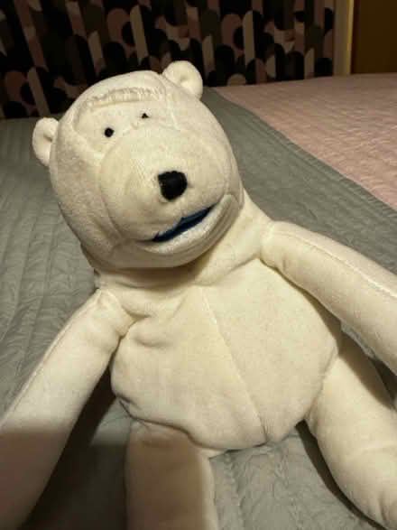 Photo of free Polar Bear Cuddly Toy (Chelmsford CM2) #3
