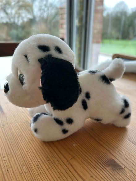 Photo of free Cuddly Dalmatian Puppy Toy (Penn HP10) #1