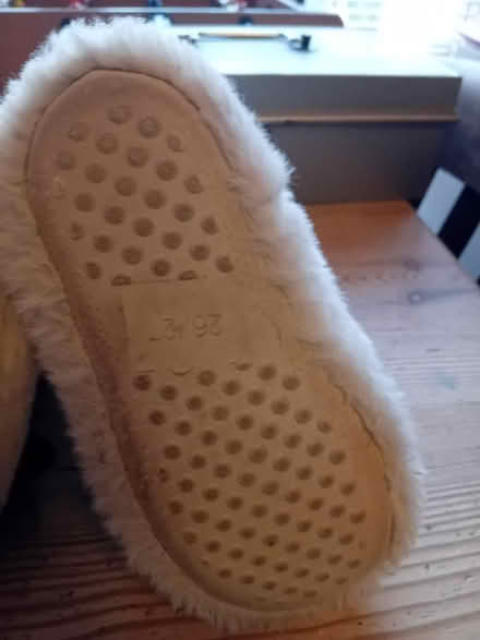 Photo of free Someone requested these (Buriton GU31) #4