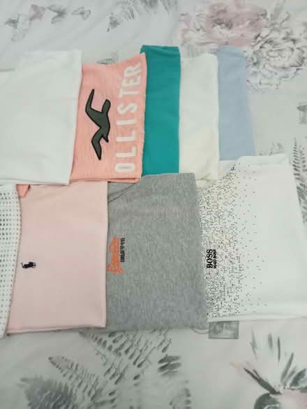 Photo of free Mens T Shirts (Old Town TN40) #1
