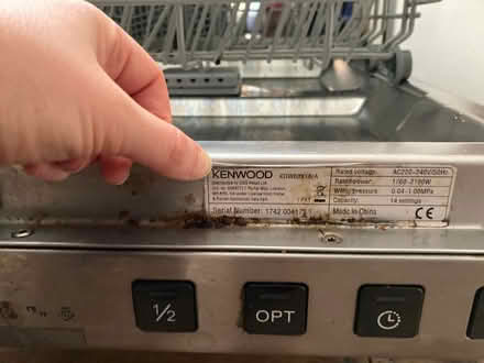 Photo of free Dishwasher (Harringay N4) #4