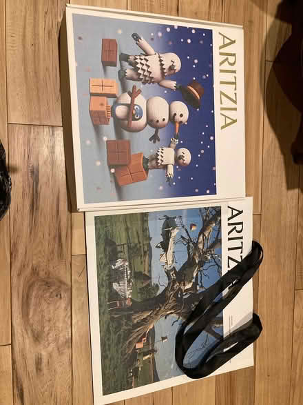 Photo of free Last call: Aritzia gift box and bag (Derry and Tenth Line) #1