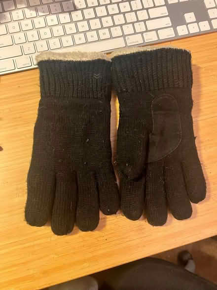 Photo of free Adult Winter Gloves (New Carrollton, MD) #1