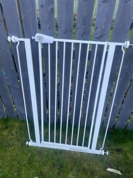 Photo of free Tall stair gate (EH6) #1