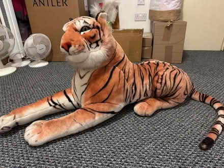 Photo of free Large tiger soft toy (Bexleyheath DA7) #1