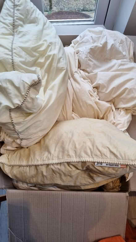 Photo of free Old bedding (Guildford GU1 4) #1