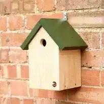 Photo of Wood to make 6 bird boxes (Tunbridge Wells N. TN4) #1