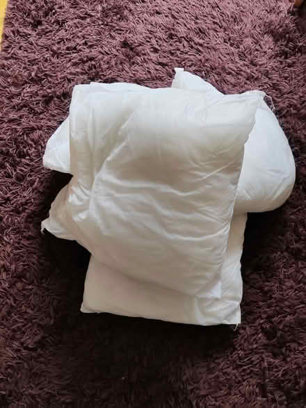 Photo of free 5 hollow fibre cushion inserts (Risinghurst OX3) #1